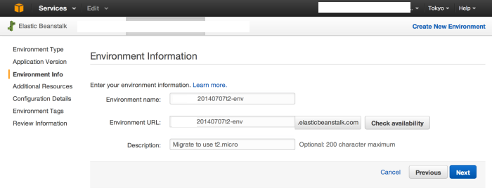 AWS Elastic Beanstalk Environment Information