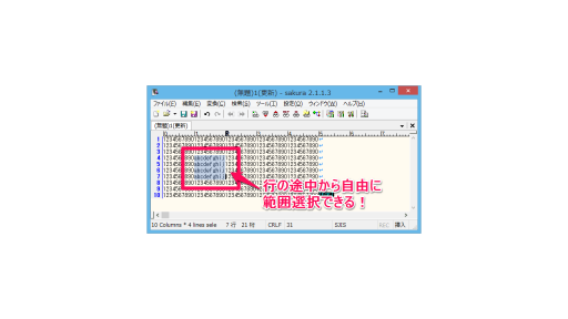 テキストエディタで行の途中から選択