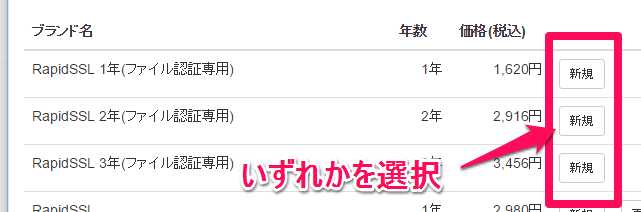 SSLストア RapidSSLファイル認証タイプ選択