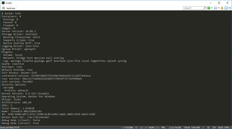 docker info の実行結果