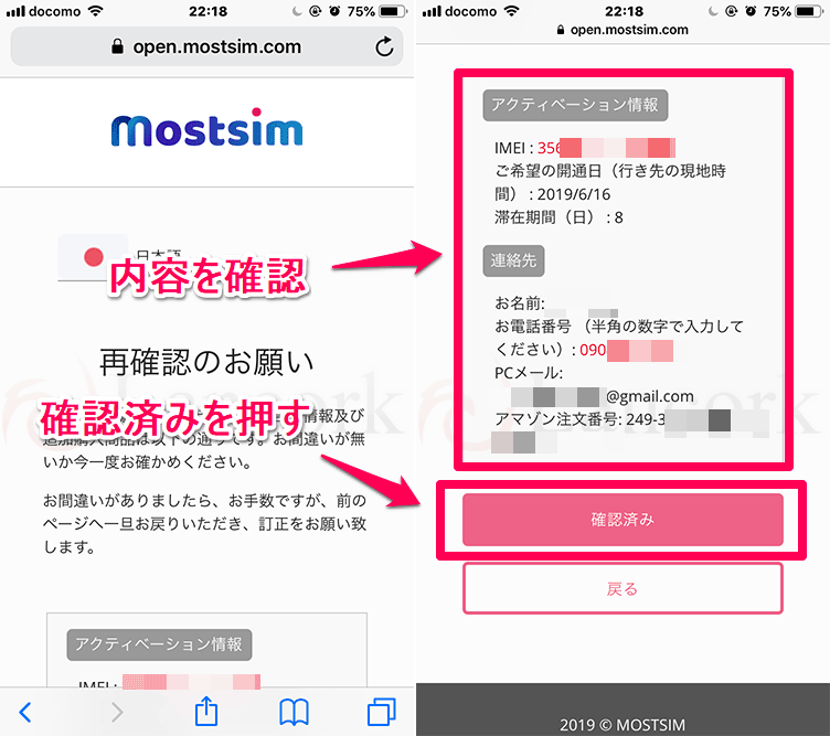 mostsim 入力内容の確認