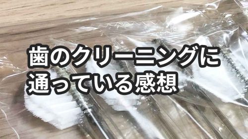 歯医者で毎月のクリーニングを1年以上続けてみた感想【メリットとデメリット】