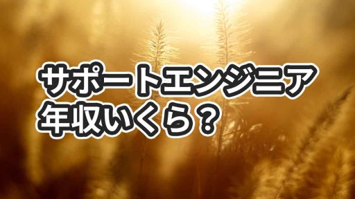 サポートエンジニアの年収を調べてもアテにならない理由【解決策も】