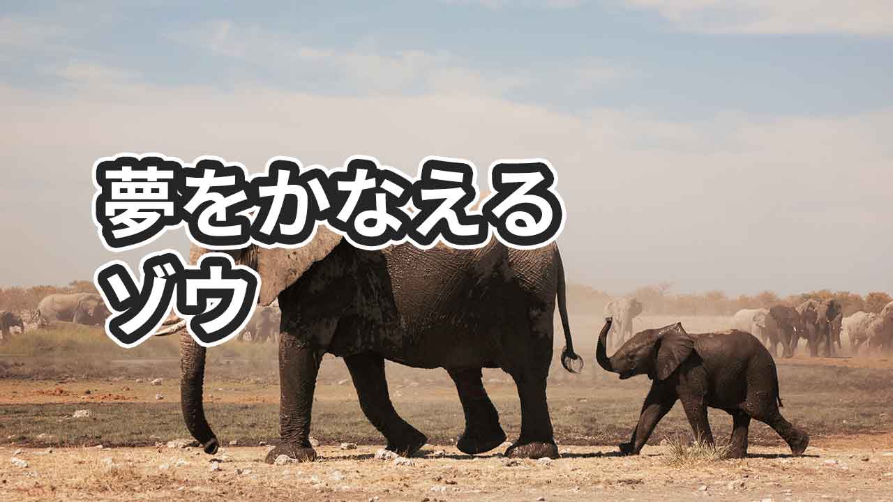 「夢をかなえるゾウ」の感想とためになった点【読み返したい本】 | Lancork